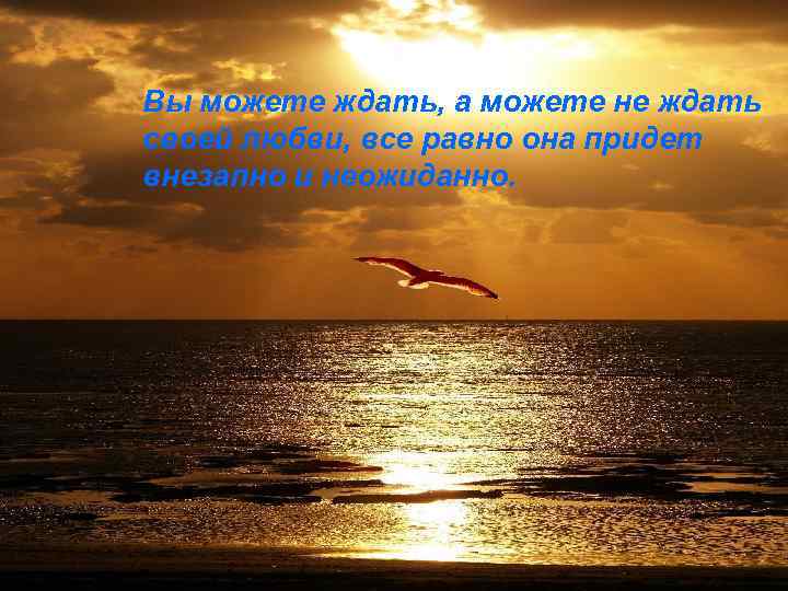 Вы можете ждать, а можете не ждать своей любви, все равно она придет внезапно