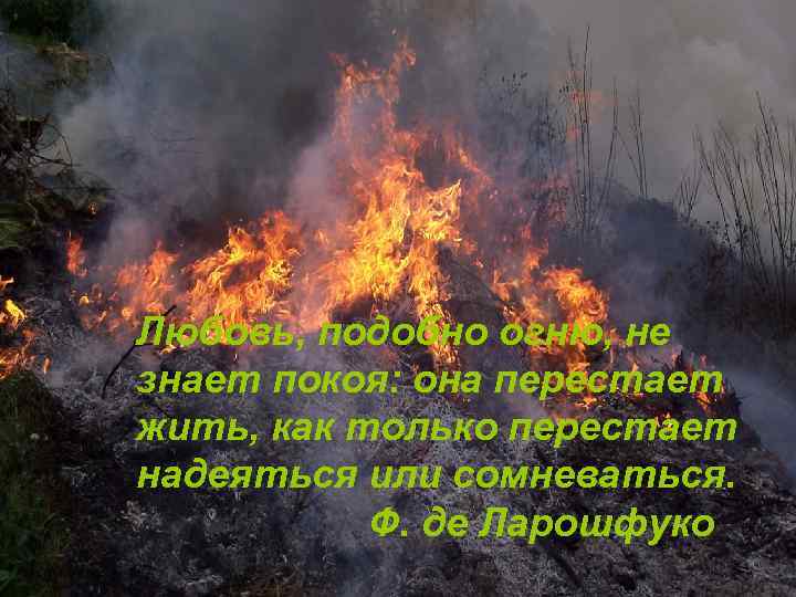 Любовь, подобно огню, не знает покоя: она перестает жить, как только перестает надеяться или