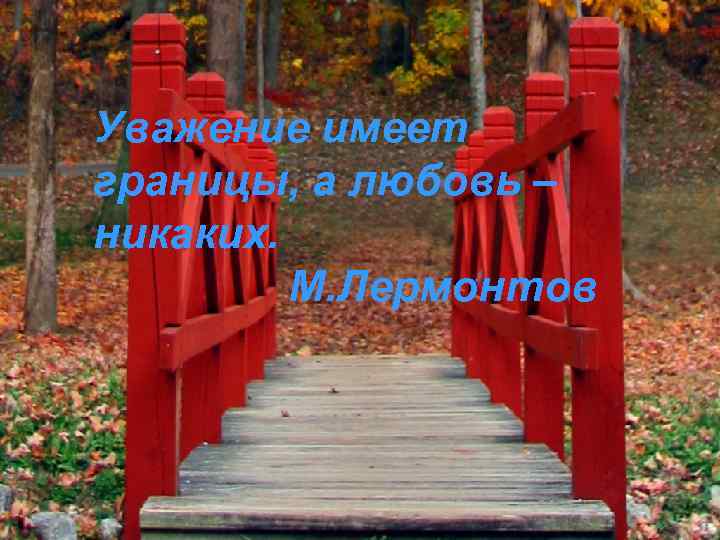 Уважение имеет границы, а любовь – никаких. М. Лермонтов 