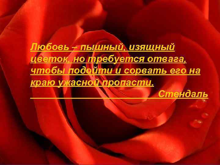 Любовь – пышный, изящный цветок, но требуется отвага, чтобы подойти и сорвать его на