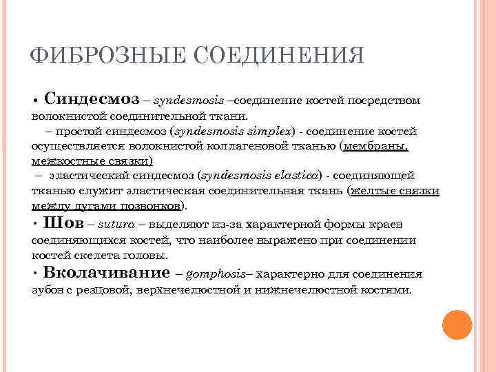 ФИБРОЗНЫЕ СОЕДИНЕНИЯ • Синдесмоз – syndesmosis –соединение костей посредством волокнистой соединительной ткани. – простой