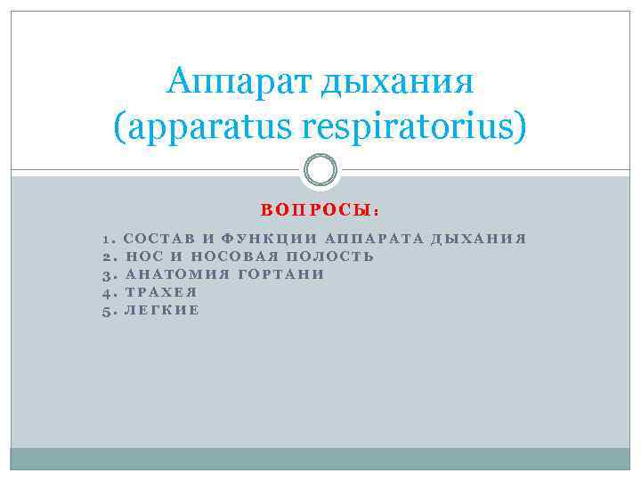 Аппарат дыхания (apparatus respiratorius) ВОПРОСЫ: 1. 2. 3. 4. 5. СОСТАВ И ФУНКЦИИ АППАРАТА