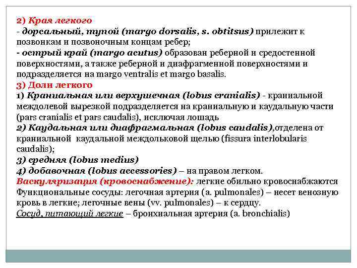 2) Края легкого дорсальный, тупой (margo dorsalis, s. obtitsus) прилежит к позвонкам и позвоночным