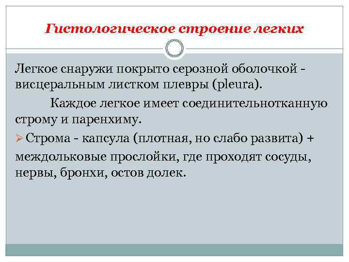 Гистологическое строение легких Легкое снаружи покрыто серозной оболочкой висцеральным листком плевры (pleura). Каждое легкое