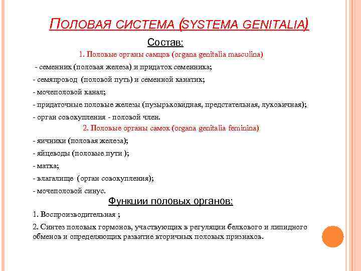 ПОЛОВАЯ СИСТЕМА (SYSTEMA GENITALIA) Состав: 1. Половые органы самцов (organa genitalia masculina) - семенник