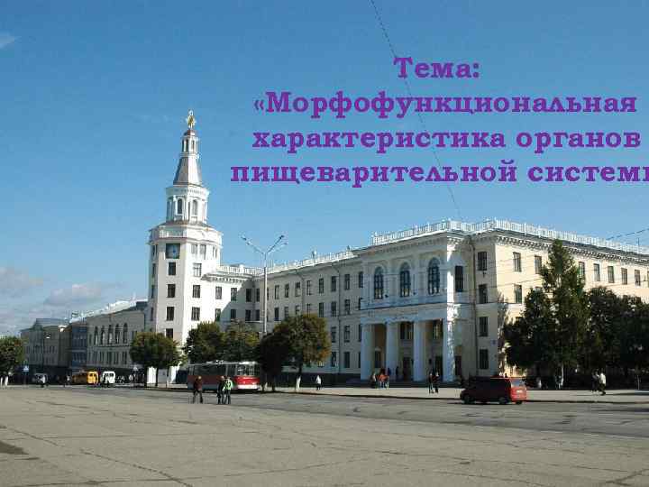 Тема: «Морфофункциональная характеристика органов пищеварительной системы 