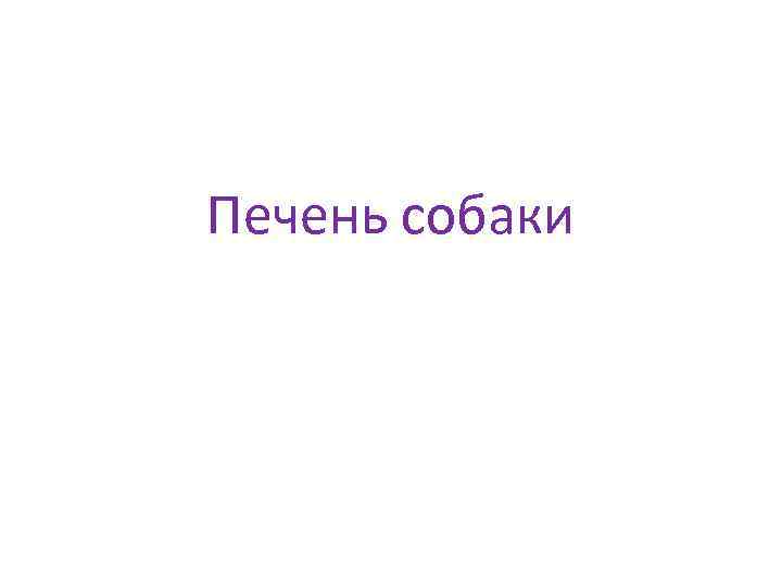 Печень собаки 