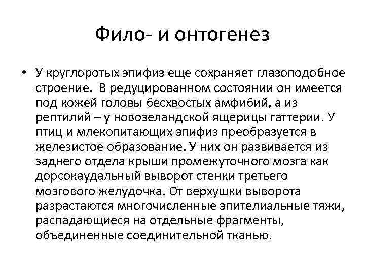 Фило- и онтогенез • У круглоротых эпифиз еще сохраняет глазоподобное строение. В редуцированном состоянии