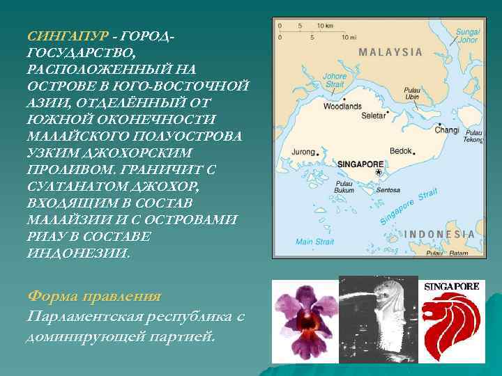 СИНГАПУР - ГОРОДГОСУДАРСТВО, РАСПОЛОЖЕННЫЙ НА ОСТРОВЕ В ЮГО-ВОСТОЧНОЙ АЗИИ, ОТДЕЛЁННЫЙ ОТ ЮЖНОЙ ОКОНЕЧНОСТИ МАЛАЙСКОГО