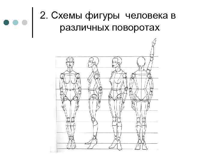 2. Схемы фигуры человека в различных поворотах 