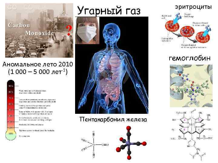 Угарный газ эритроциты ? гемоглобин Аномальное лето 2010 (1 000 – 5 000 лет-1)