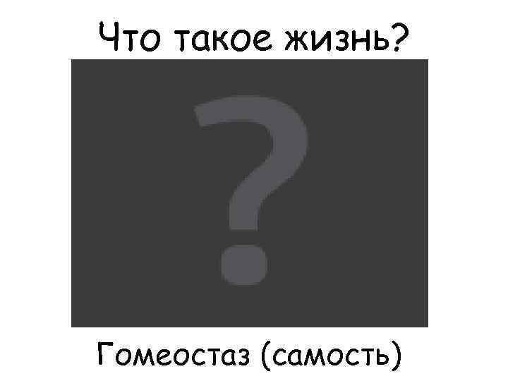 Что такое жизнь? Гомеостаз (самость) 