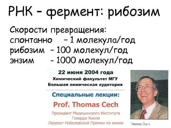 РНК – фермент: рибозим Скорости превращения: спонтанно – 1 молекула/год рибозим – 100 молекул/год