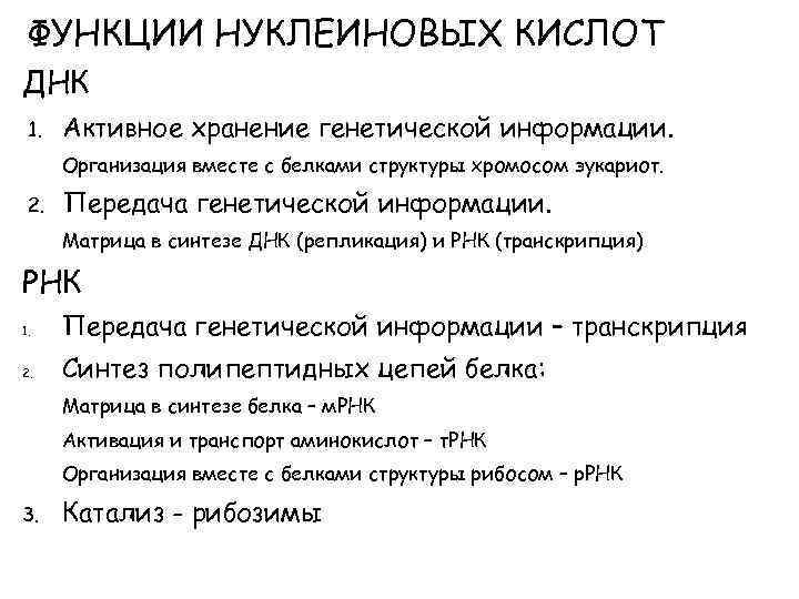  ФУНКЦИИ НУКЛЕИНОВЫХ КИСЛОТ ДНК 1. Активное хранение генетической информации. Организация вместе с белками