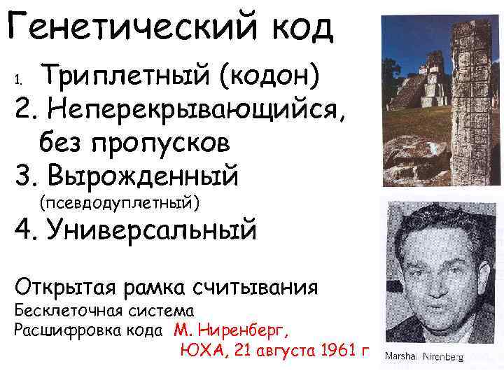 Генетический код Триплетный (кодон) 2. Неперекрывающийся, без пропусков 3. Вырожденный 1. (псевдодуплетный) 4. Универсальный