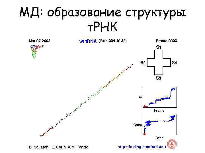 МД: образование структуры т. РНК 