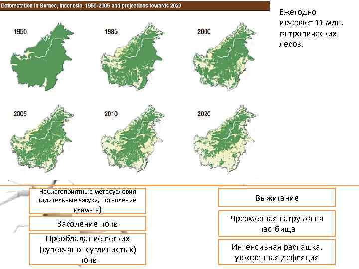 Ежегодно исчезает 11 млн. га тропических лесов. Неблагоприятные метеоусловия (длительные засухи, потепление климата) Засоление
