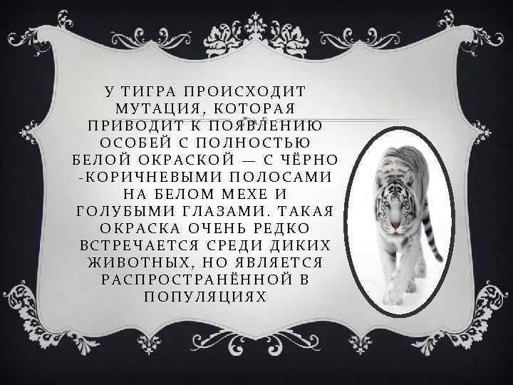 У ТИГРА ПРОИСХОДИТ МУТАЦИЯ, КОТОРАЯ ПРИВОДИТ К ПОЯВЛЕНИЮ ОСОБЕЙ С ПОЛНОСТЬЮ БЕЛОЙ ОКРАСКОЙ —