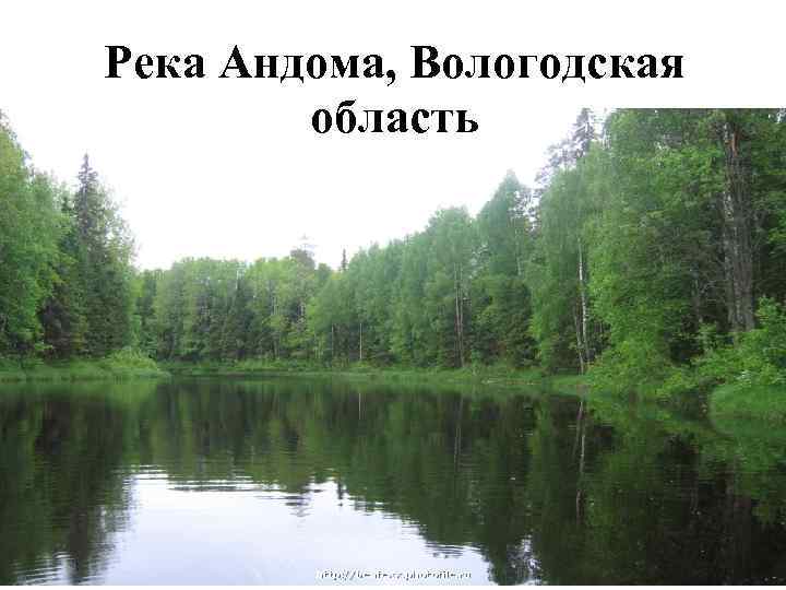 Река Андома, Вологодская область 