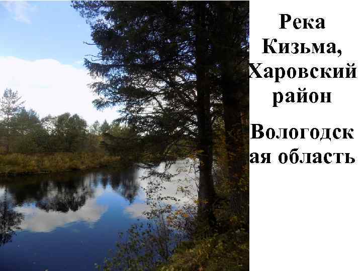 Река Кизьма, Харовский район Вологодск ая область 