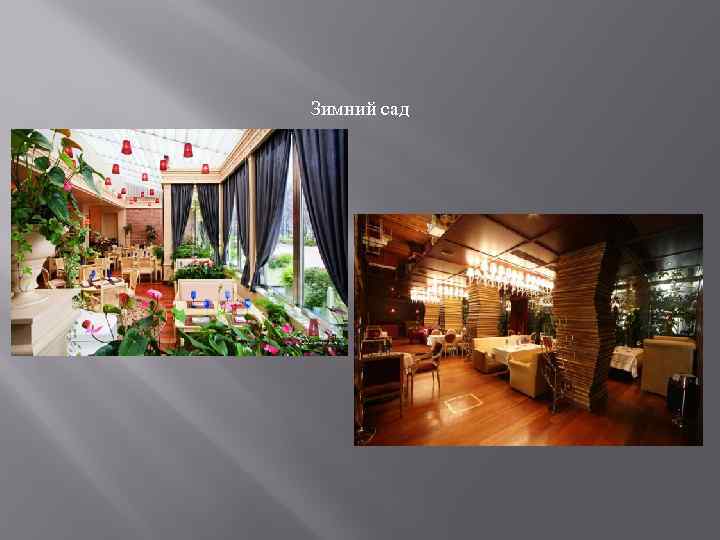 Зимний сад 