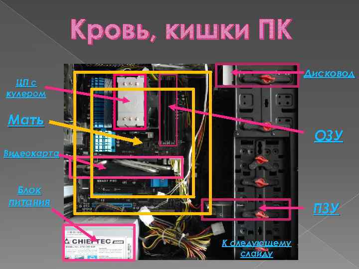 Кровь, кишки ПК Дисковод ЦП с кулером Мать ОЗУ Видеокарта Блок питания ПЗУ К