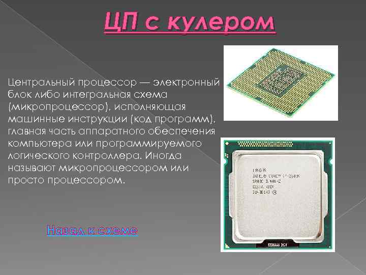 ЦП с кулером Центральный процессор — электронный блок либо интегральная схема (микропроцессор), исполняющая машинные