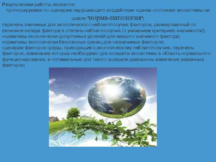 Результатами работы являются: прогнозируемая по сценарию нарушающего воздействия оценка состояния экосистемы на шкале 