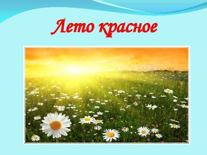 Лето красное 