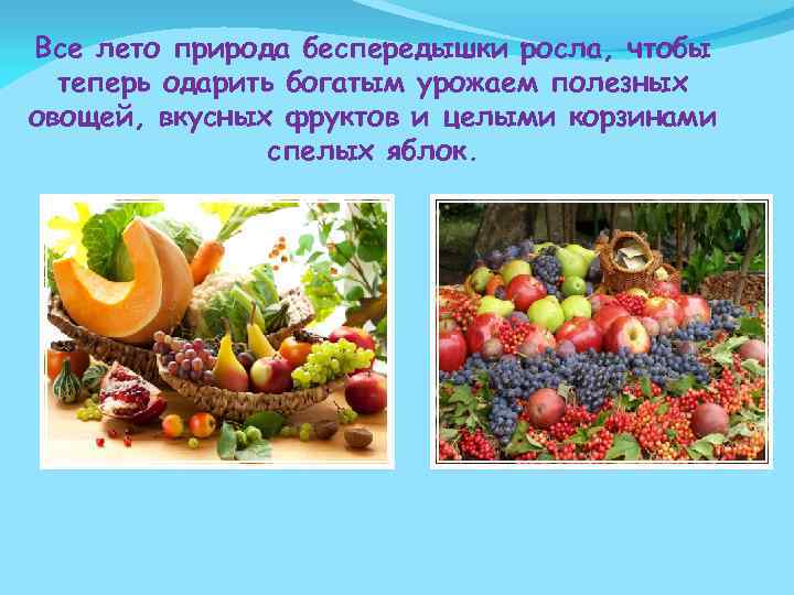 Все лето природа беспередышки росла, чтобы теперь одарить богатым урожаем полезных овощей, вкусных фруктов