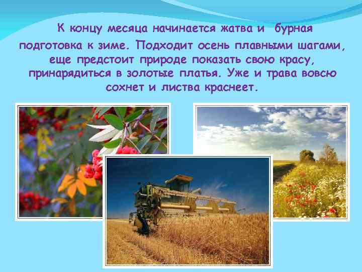  К концу месяца начинается жатва и бурная подготовка к зиме. Подходит осень плавными