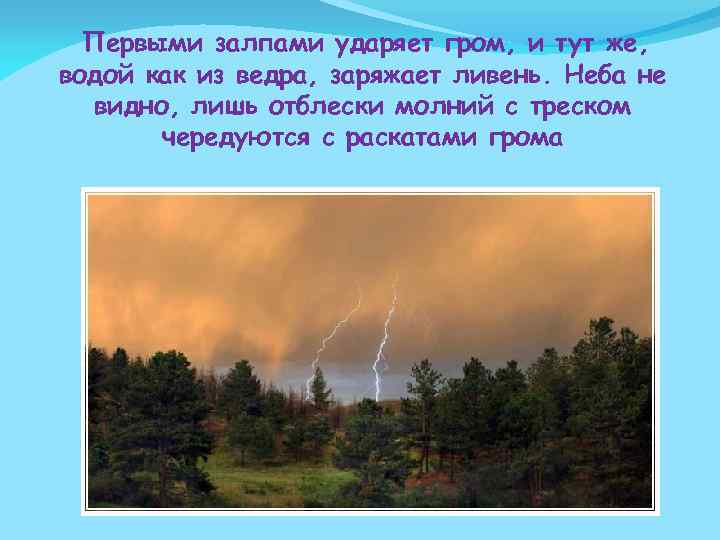  Первыми залпами ударяет гром, и тут же, водой как из ведра, заряжает ливень.