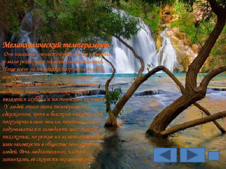 Меланхолический темперамент Они пассивны, ненастойчивы, легко уязвимы и мало реагируют на внешние воздействия. Чаще