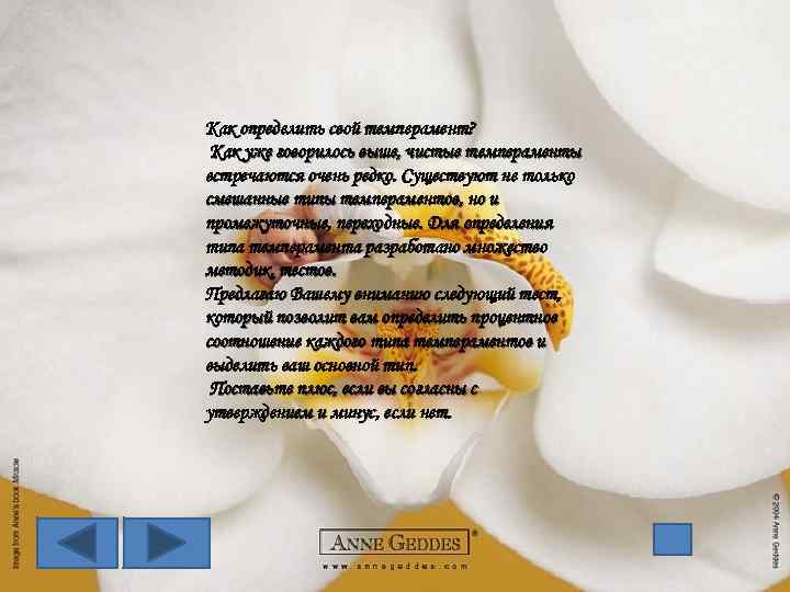 Как определить свой темперамент? Как уже говорилось выше, чистые темпераменты встречаются очень редко. Существуют