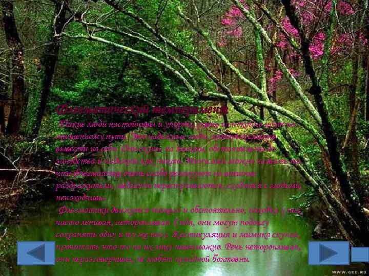 Флегматический темперамент Такие люди настойчивы и упорны, ровно и спокойно идут по жизненному пути.