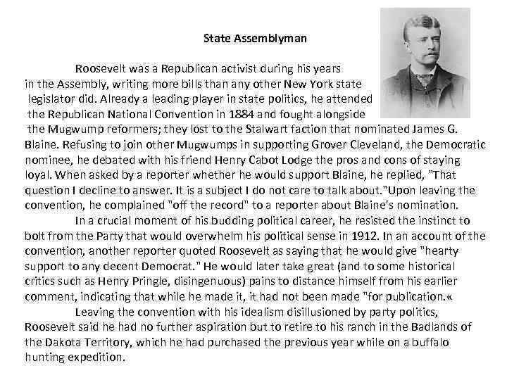 State Assemblyman Roosevelt was a Republican activist during his years in the Assembly, writing