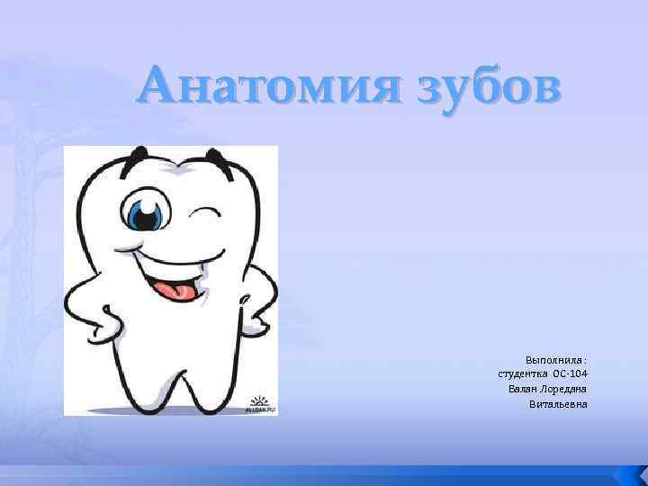 Анатомия зубов Выполнила : студентка ОС 104 Балан Лоредана Витальевна 
