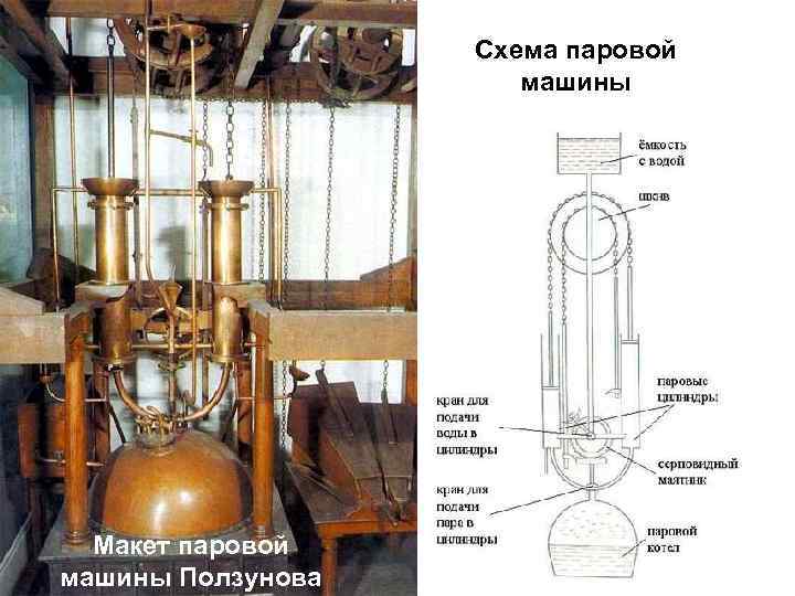 Иван иванович ползунов фото