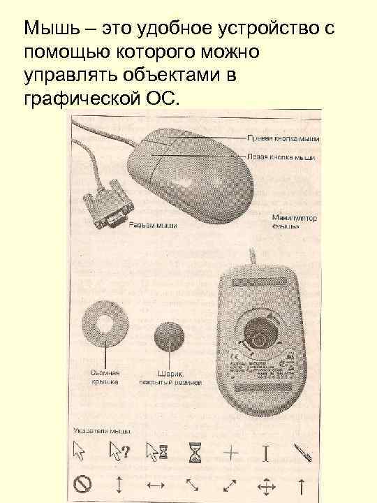 Мышь – это удобное устройство с помощью которого можно управлять объектами в графической ОС.