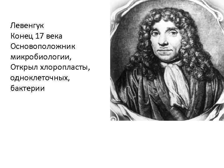 Левенгук Конец 17 века Основоположник микробиологии, Открыл хлоропласты, одноклеточных, бактерии 