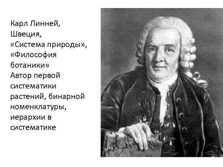 Новая система природы. Ботаник Карл Линней. Философия ботаники Карла Линнея. «Система природы» Карл линей. Философия ботаники Линней 1805.