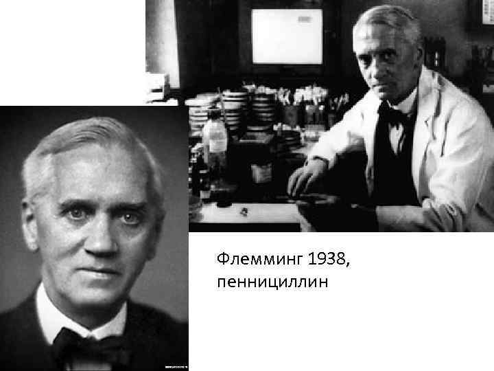 Флемминг 1938, пеннициллин 