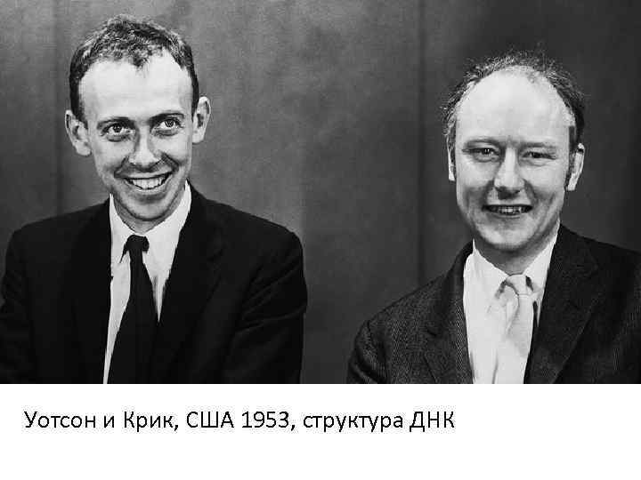 Уотсон и Крик, США 1953, структура ДНК 