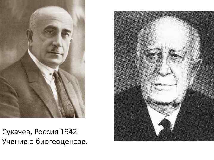 Сукачев, Россия 1942 Учение о биогеоценозе. 