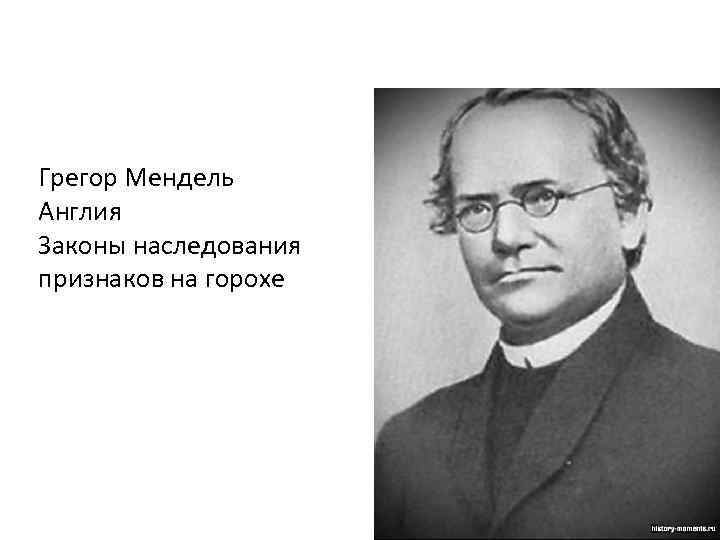 Грегор Мендель Англия Законы наследования признаков на горохе 