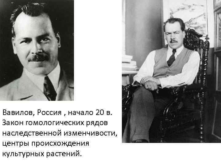 Вавилов, Россия , начало 20 в. Закон гомологических рядов наследственной изменчивости, центры происхождения культурных