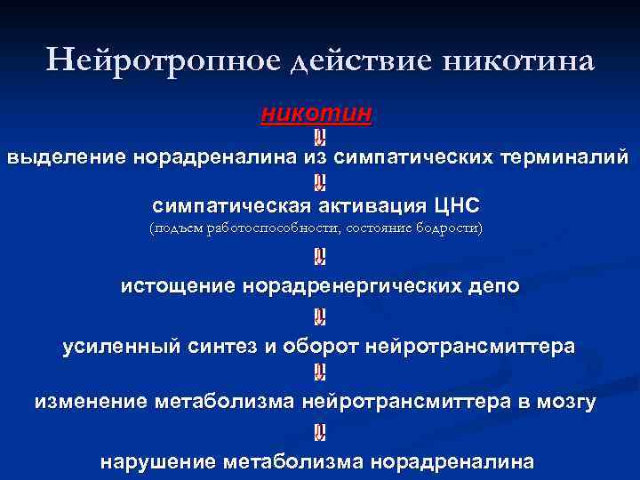 Нейротропное действие никотина никотин выделение норадреналина из симпатических терминалий симпатическая активация ЦНС (подъем работоспособности,