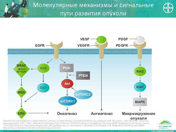 Молекулярные механизмы и сигнальные пути развития опухоли VEGFR BRAF V 600 E мутации RAS