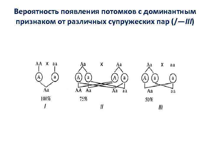 Вероятность появления потомков с доминантным признаком от различных супружеских пар (/—III) 