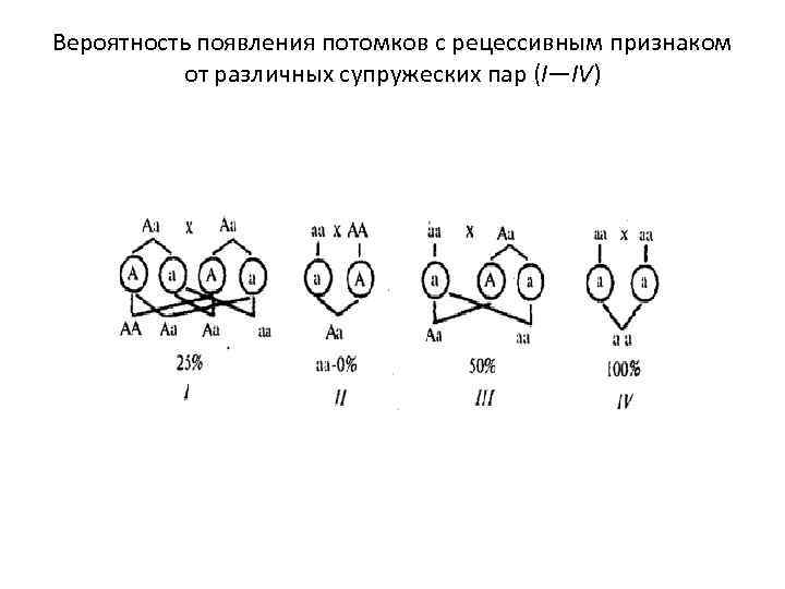 Вероятность появления потомков с рецессивным признаком от различных супружеских пар (I—IV) 